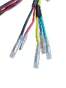 Afbeelding 160.webp