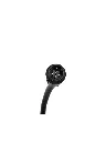 Afbeelding 178.webp