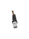 20202.webp