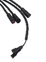 20209.webp