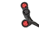 20216.webp
