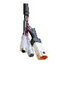 20250.webp