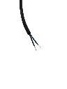 343.webp