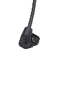 486.webp