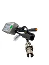 20773.webp