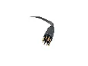 21096.webp