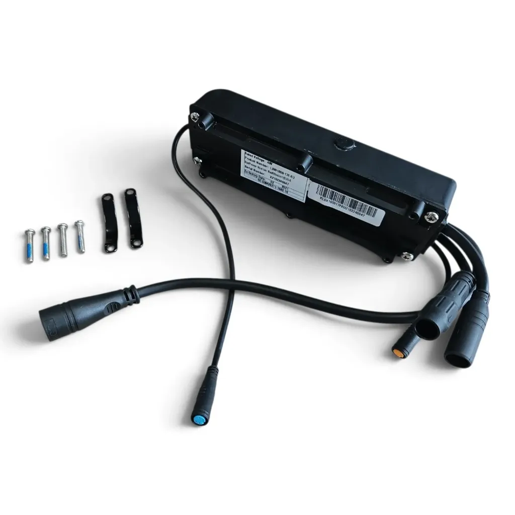 Controller Lishui / RadPower LSW1659-14F-CA 48V RadWagon 4